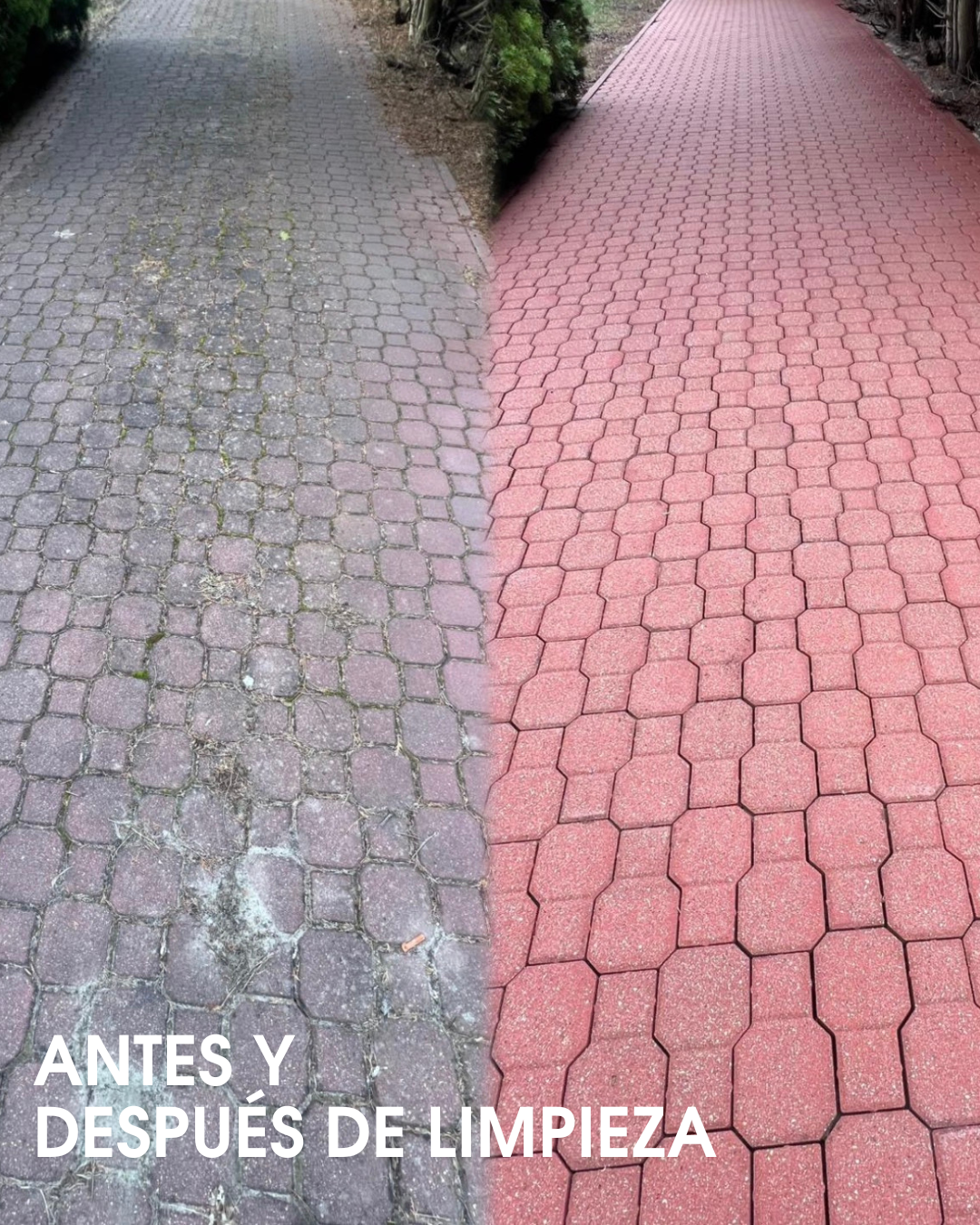 Antes y después – limpieza de placas solares