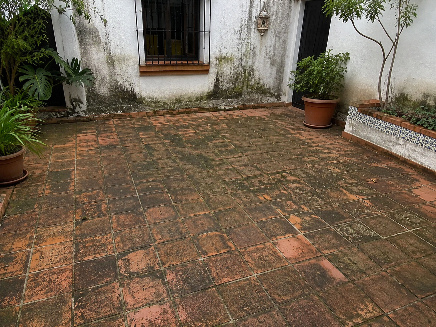 Antes