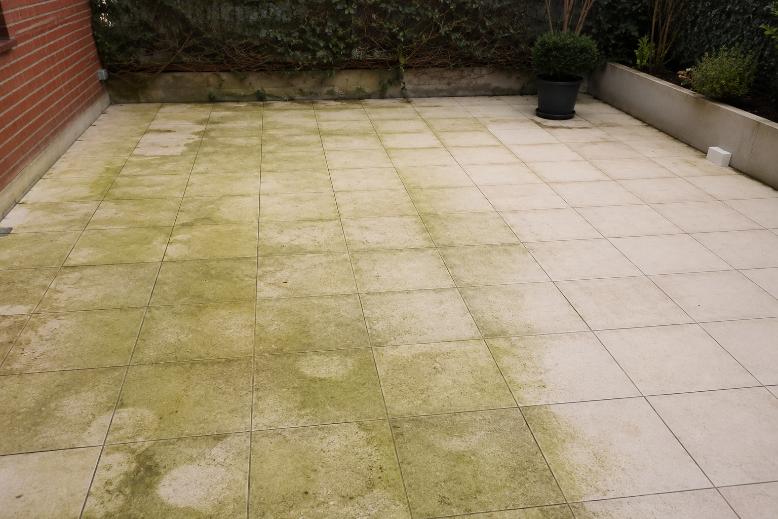 Antes